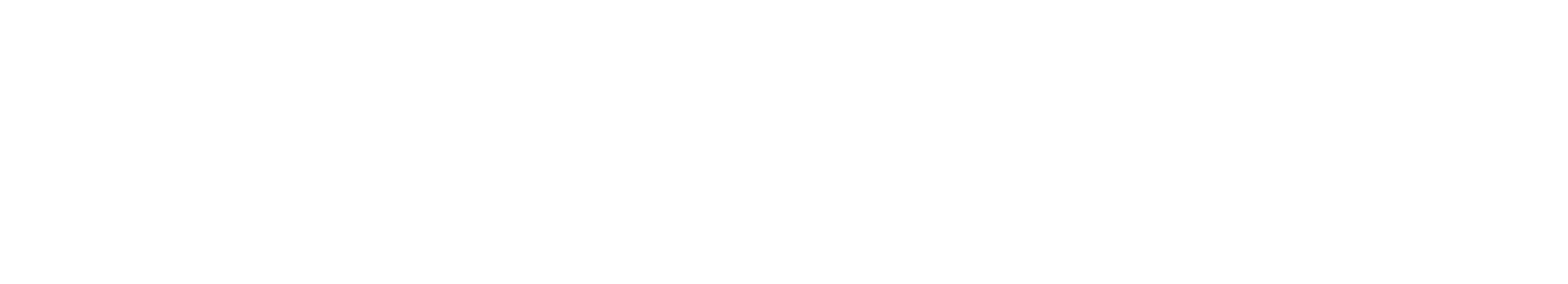 DF Logo digital white